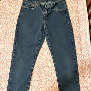 Michael Kore, Size 8/10, Blue Jeans